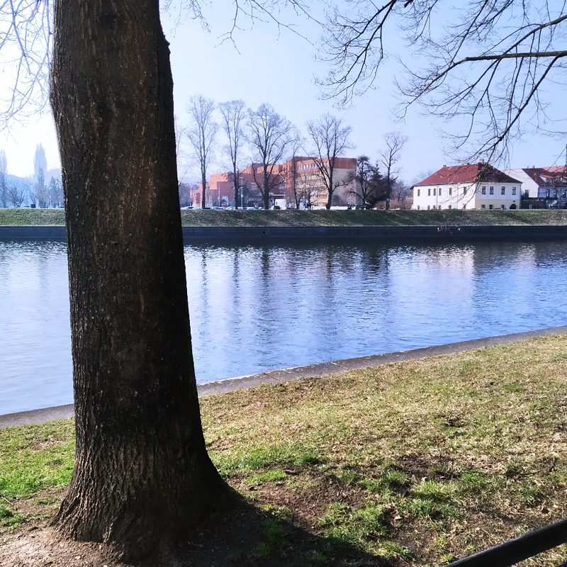 Hledačka č. 3
