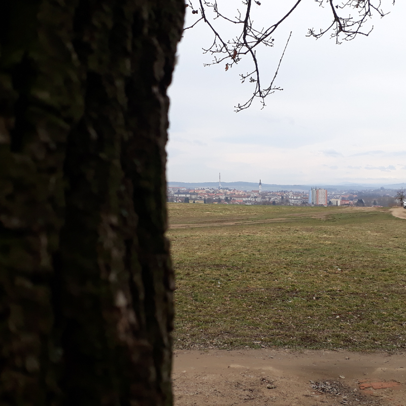 Hledačka č. 4